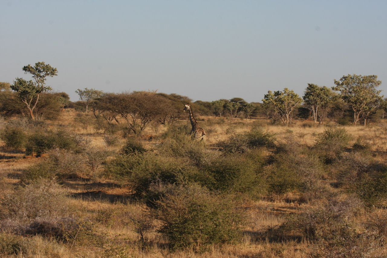 [530] 2016_06_22_02_14_33_Africa_Canon_EOS_40D_IMG__00026.jpg