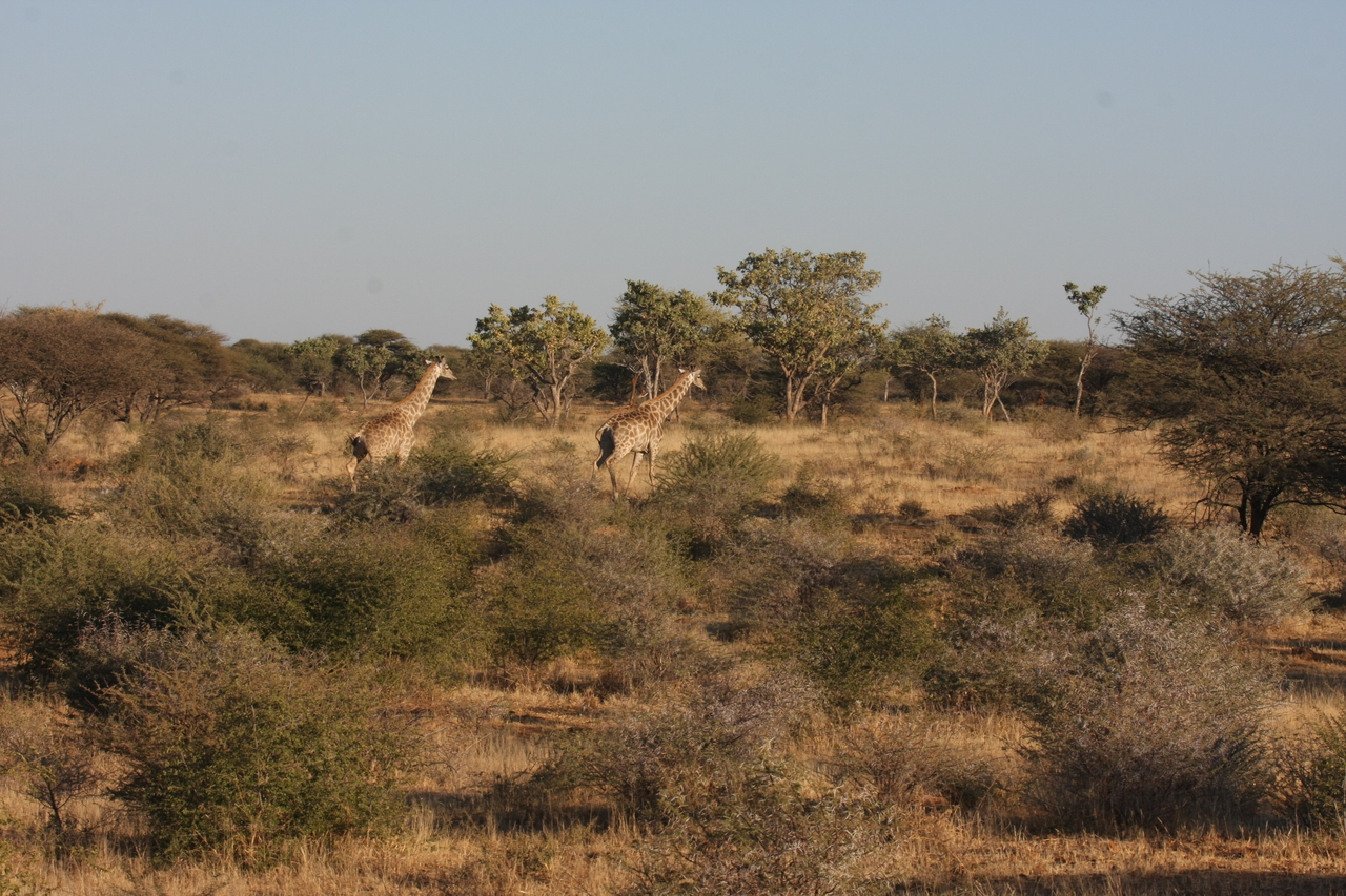 [590] 2016_06_22_02_16_26_Africa_Canon_EOS_40D_IMG__00026.jpg