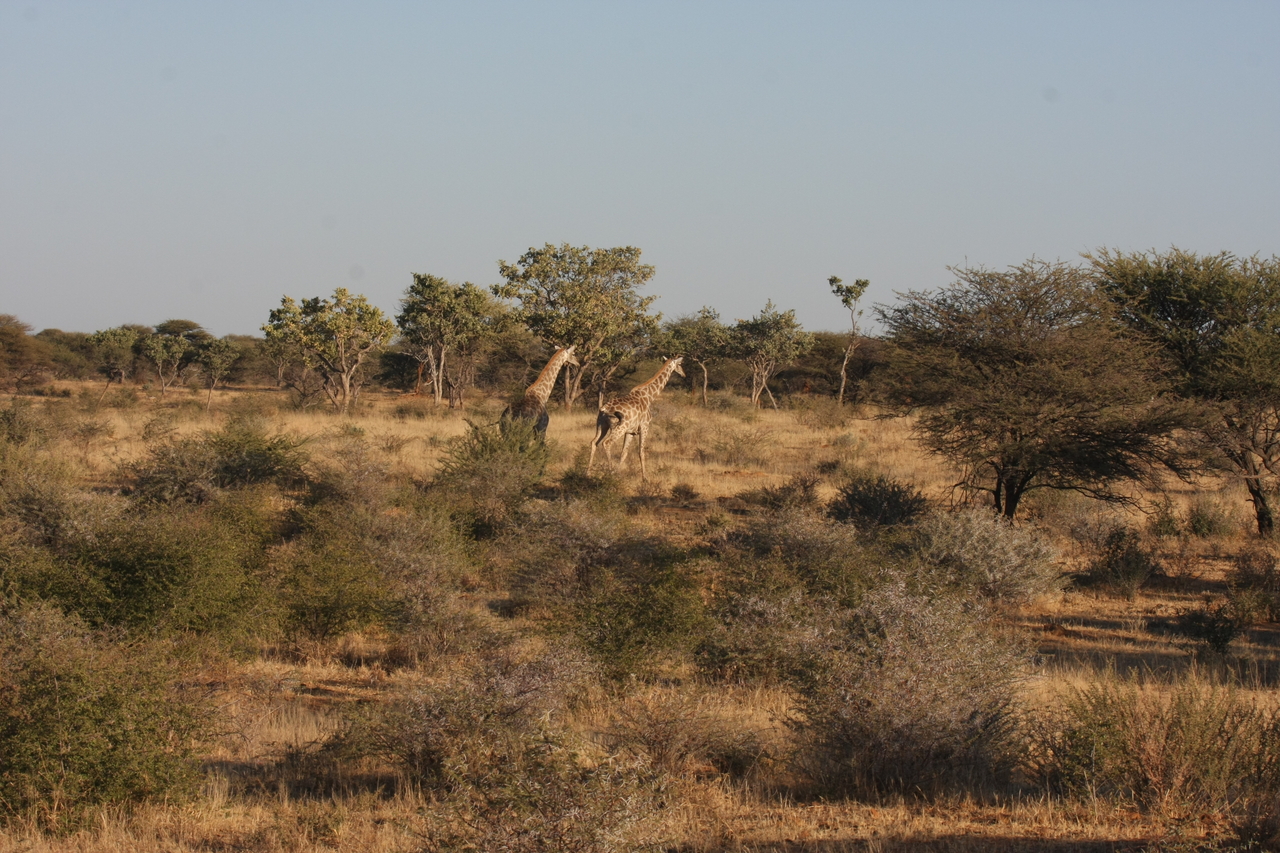 [595] 2016_06_22_02_16_27_Africa_Canon_EOS_40D_IMG__00029.jpg