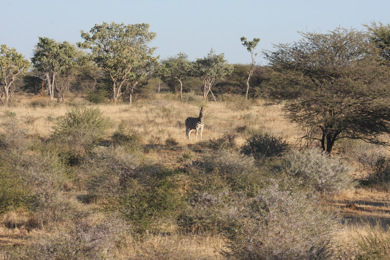 [615] 2016_06_22_02_16_42_Africa_Canon_EOS_40D_IMG__00053.jpg