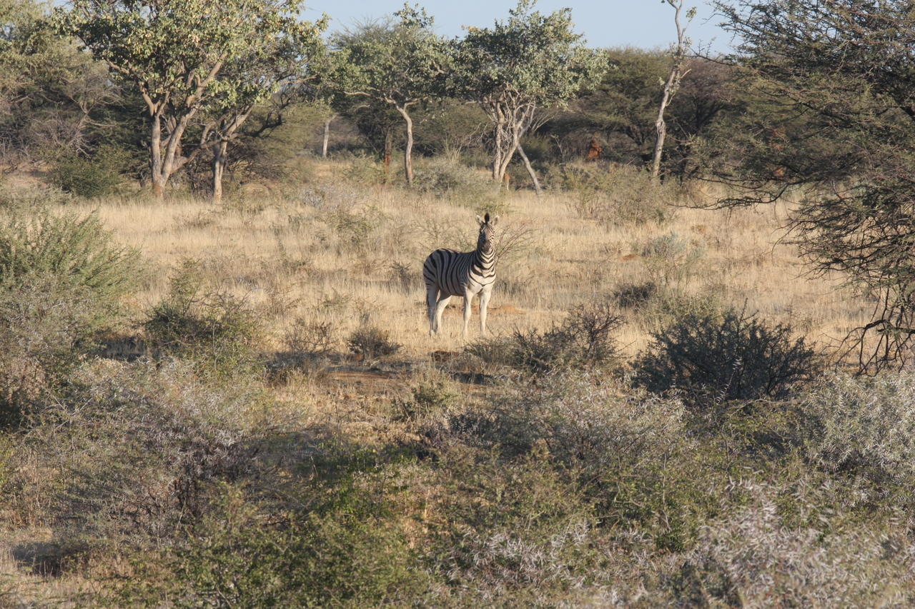 [617] 2016_06_22_02_16_48_Africa_Canon_EOS_40D_IMG__00035.jpg