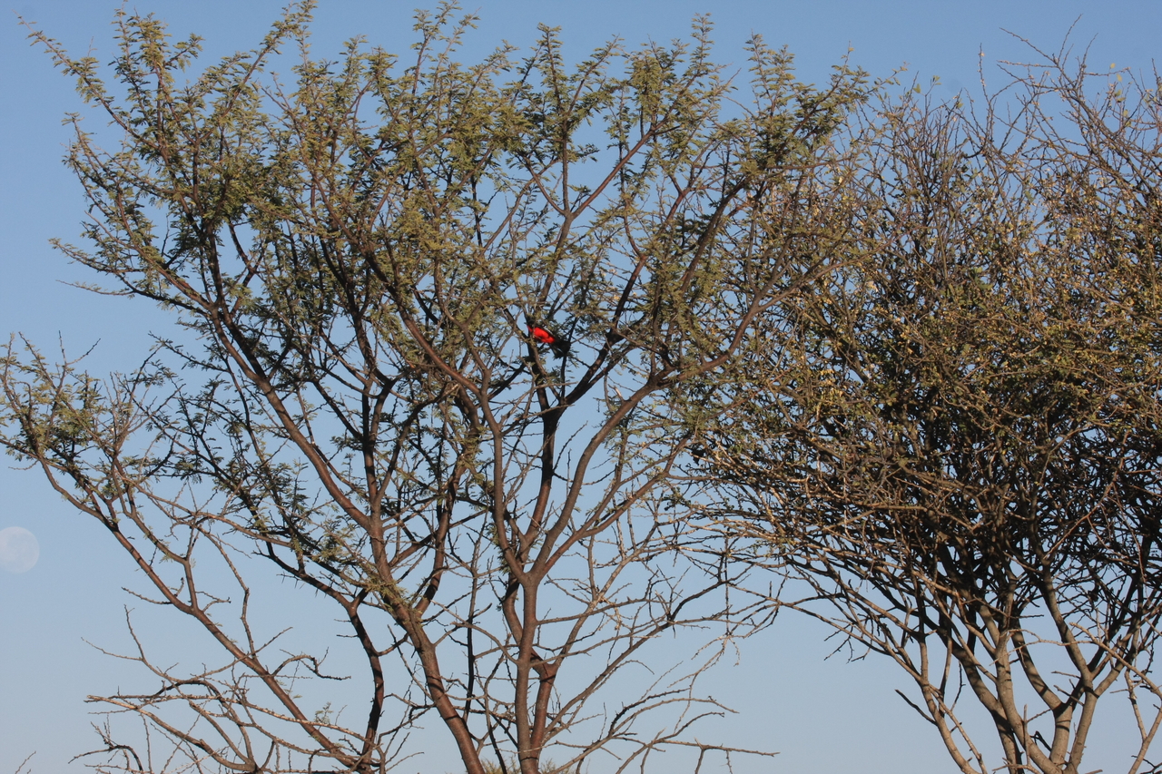 [659] 2016_06_22_02_25_40_Africa_Canon_EOS_40D_IMG__00047.jpg