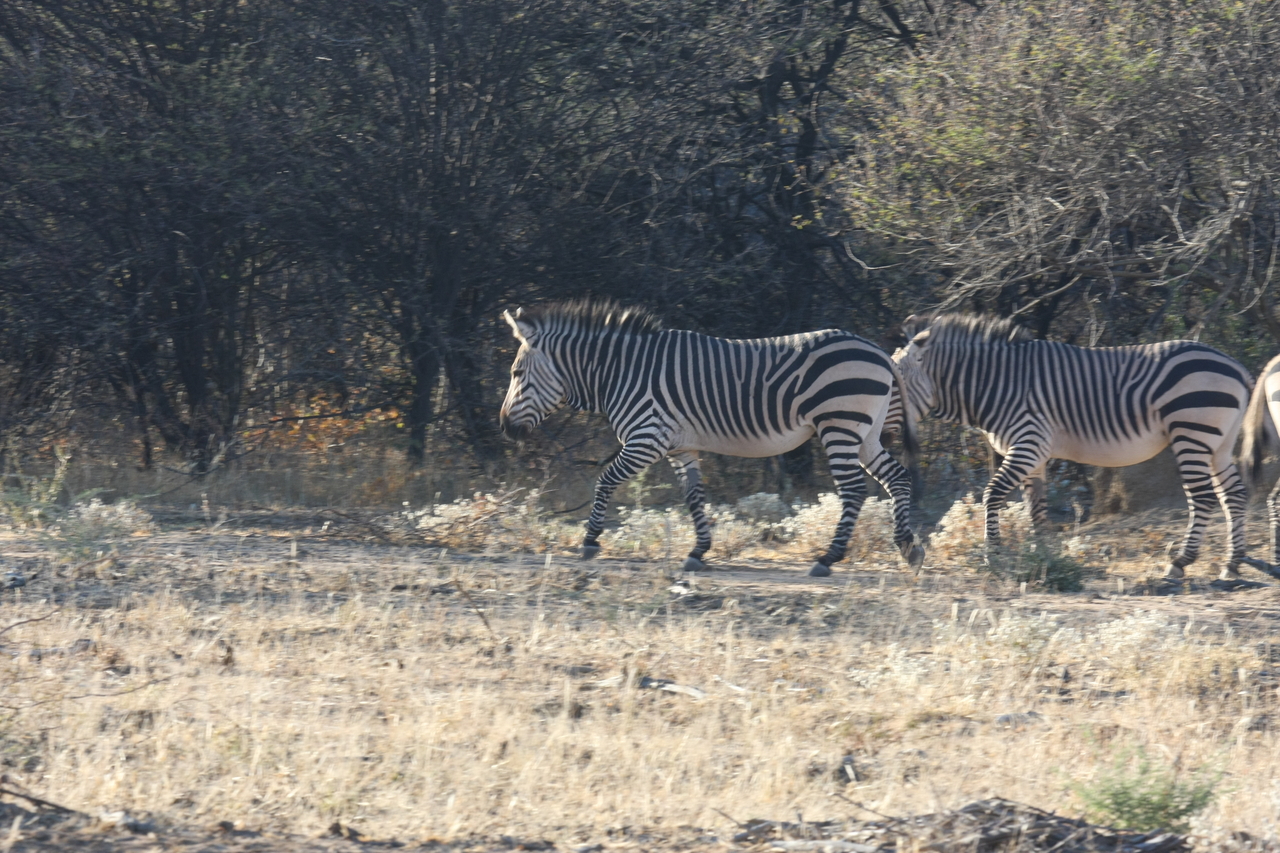 [711] 2016_06_22_02_32_51_Africa_Canon_EOS_40D_IMG__00077.jpg