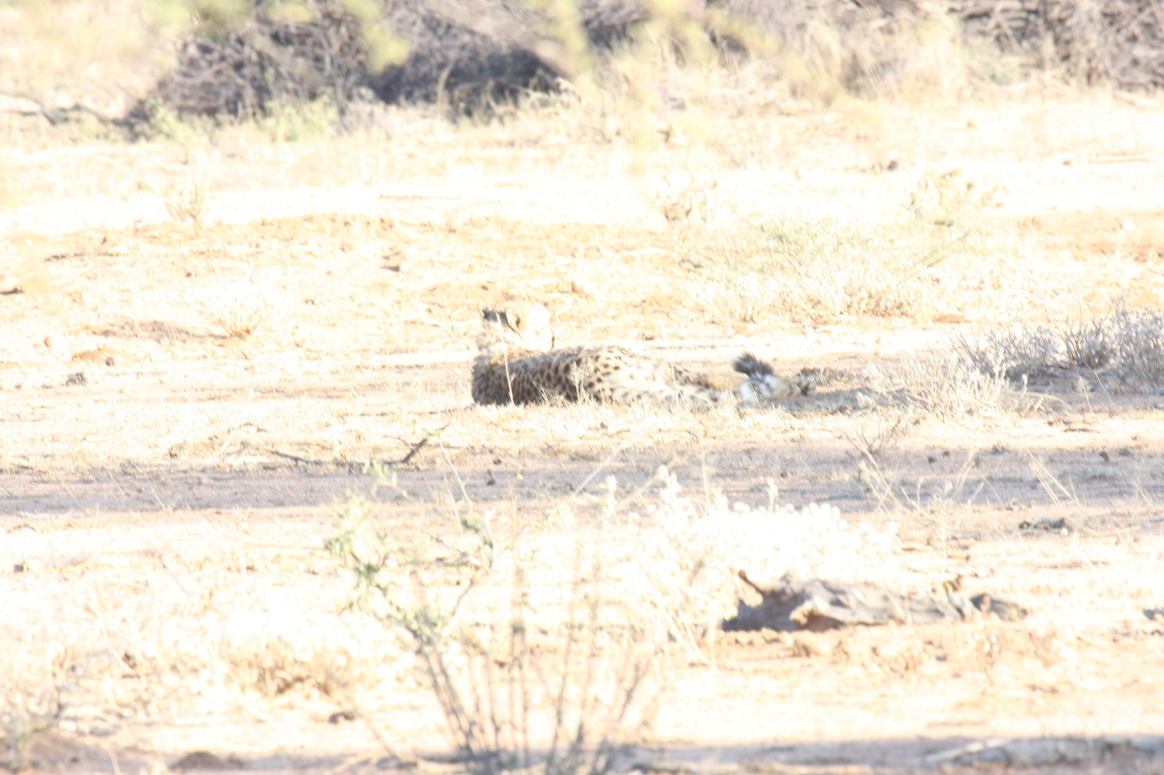 [729] 2016_06_22_02_43_07_Africa_Canon_EOS_40D_IMG__00083.jpg