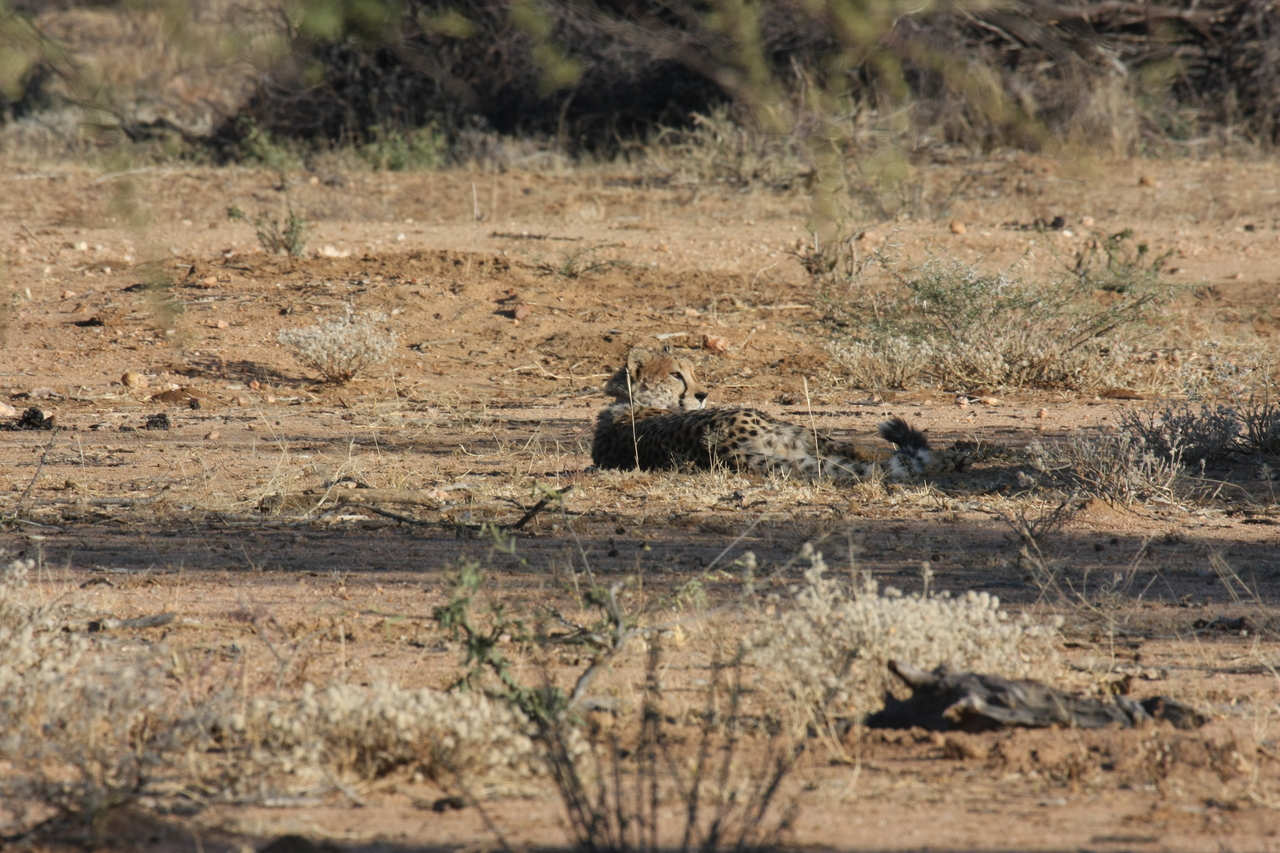 [734] 2016_06_22_02_43_16_Africa_Canon_EOS_40D_IMG__00084.jpg