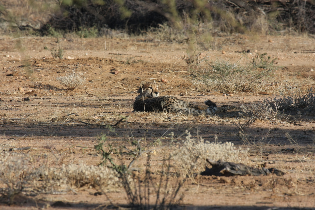 [741] 2016_06_22_02_43_17_Africa_Canon_EOS_40D_IMG__00069.jpg