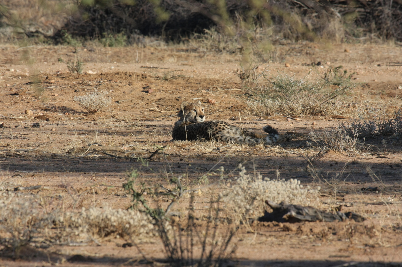 [744] 2016_06_22_02_43_17_Africa_Canon_EOS_40D_IMG__07534.jpg