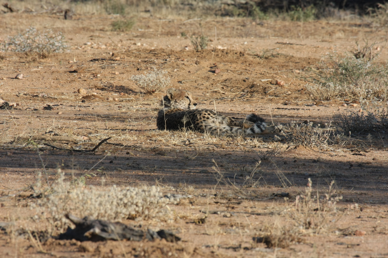 [753] 2016_06_22_02_43_45_Africa_Canon_EOS_40D_IMG__07537.jpg