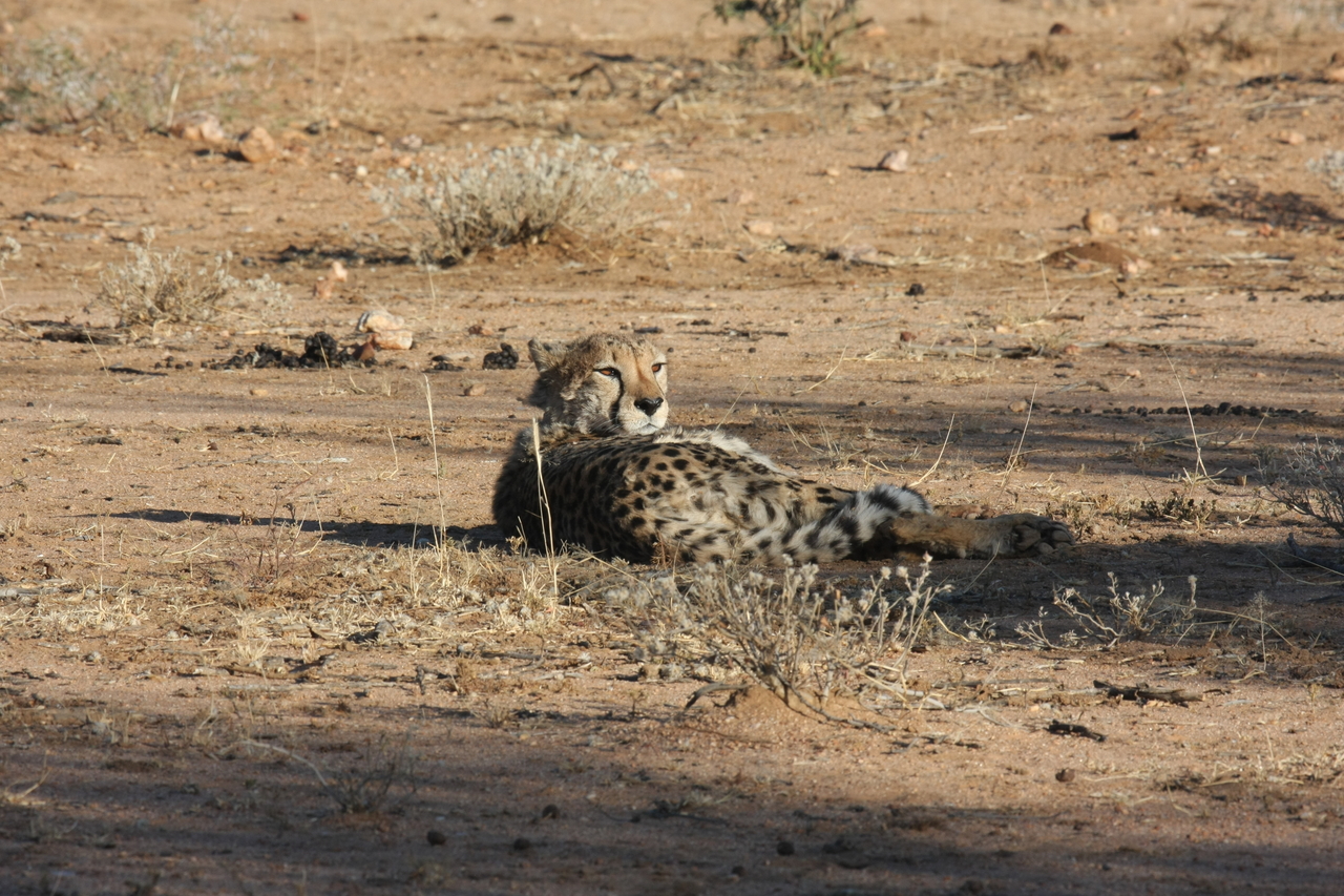 [765] 2016_06_22_02_44_45_Africa_Canon_EOS_40D_IMG__07541.jpg