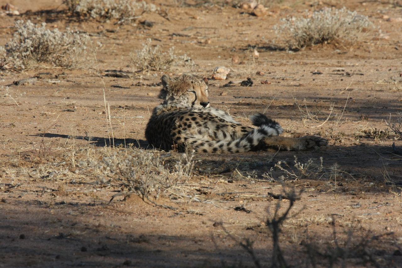 [771] 2016_06_22_02_44_58_Africa_Canon_EOS_40D_IMG__07543.jpg