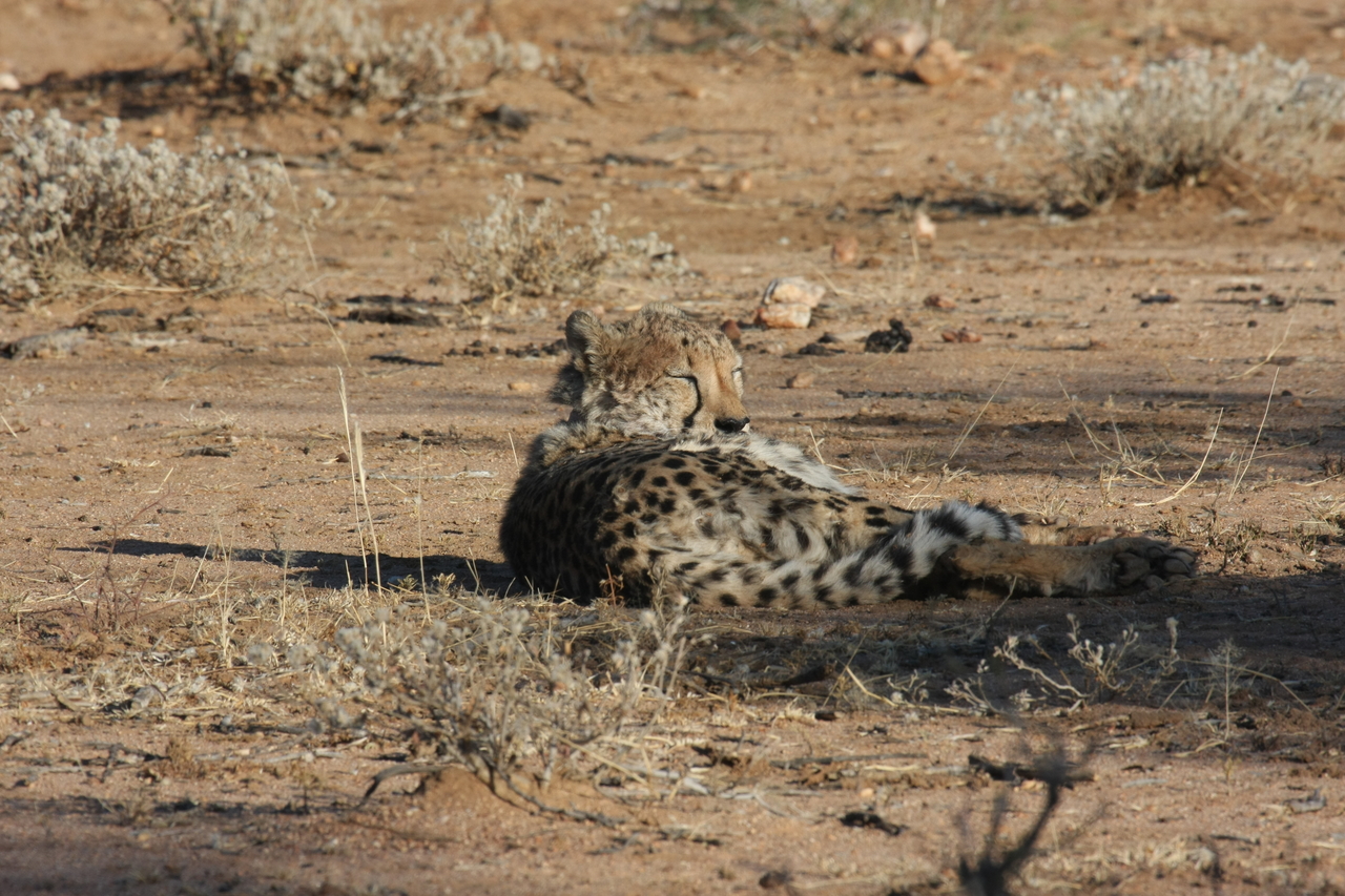 [779] 2016_06_22_02_45_06_Africa_Canon_EOS_40D_IMG__00081.jpg