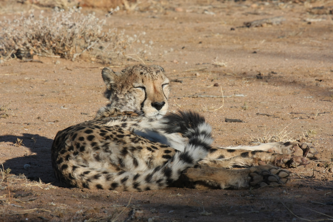 [786] 2016_06_22_02_45_54_Africa_Canon_EOS_40D_IMG__07548.jpg