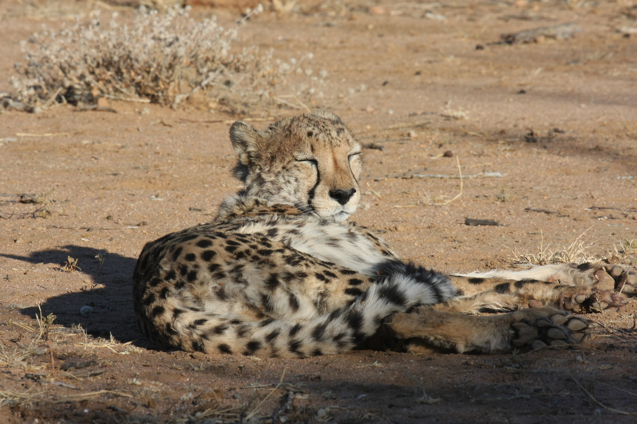 [789] 2016_06_22_02_45_55_Africa_Canon_EOS_40D_IMG__00103.jpg