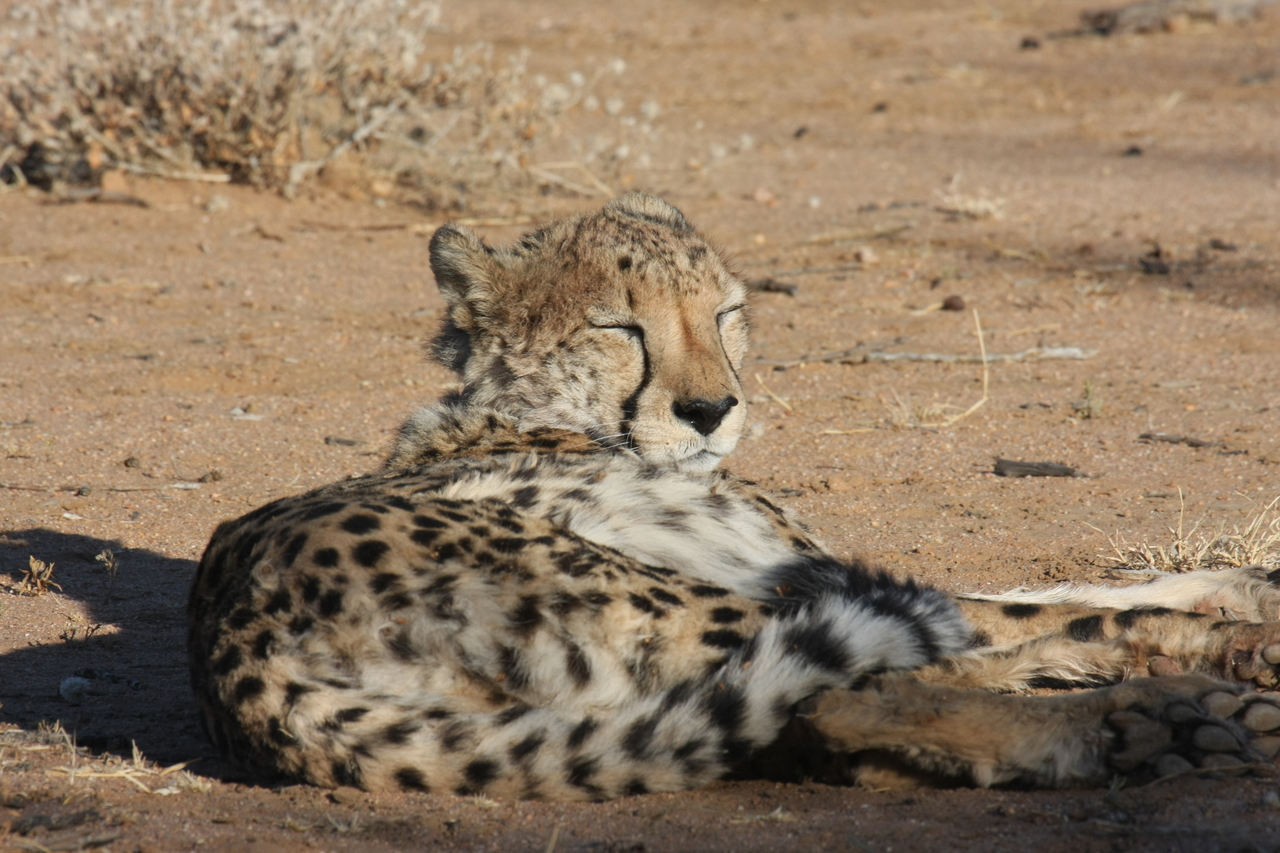 [796] 2016_06_22_02_45_59_Africa_Canon_EOS_40D_IMG__07552.jpg