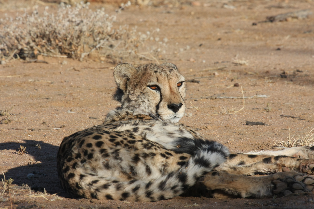 [803] 2016_06_22_02_46_05_Africa_Canon_EOS_40D_IMG__00089.jpg