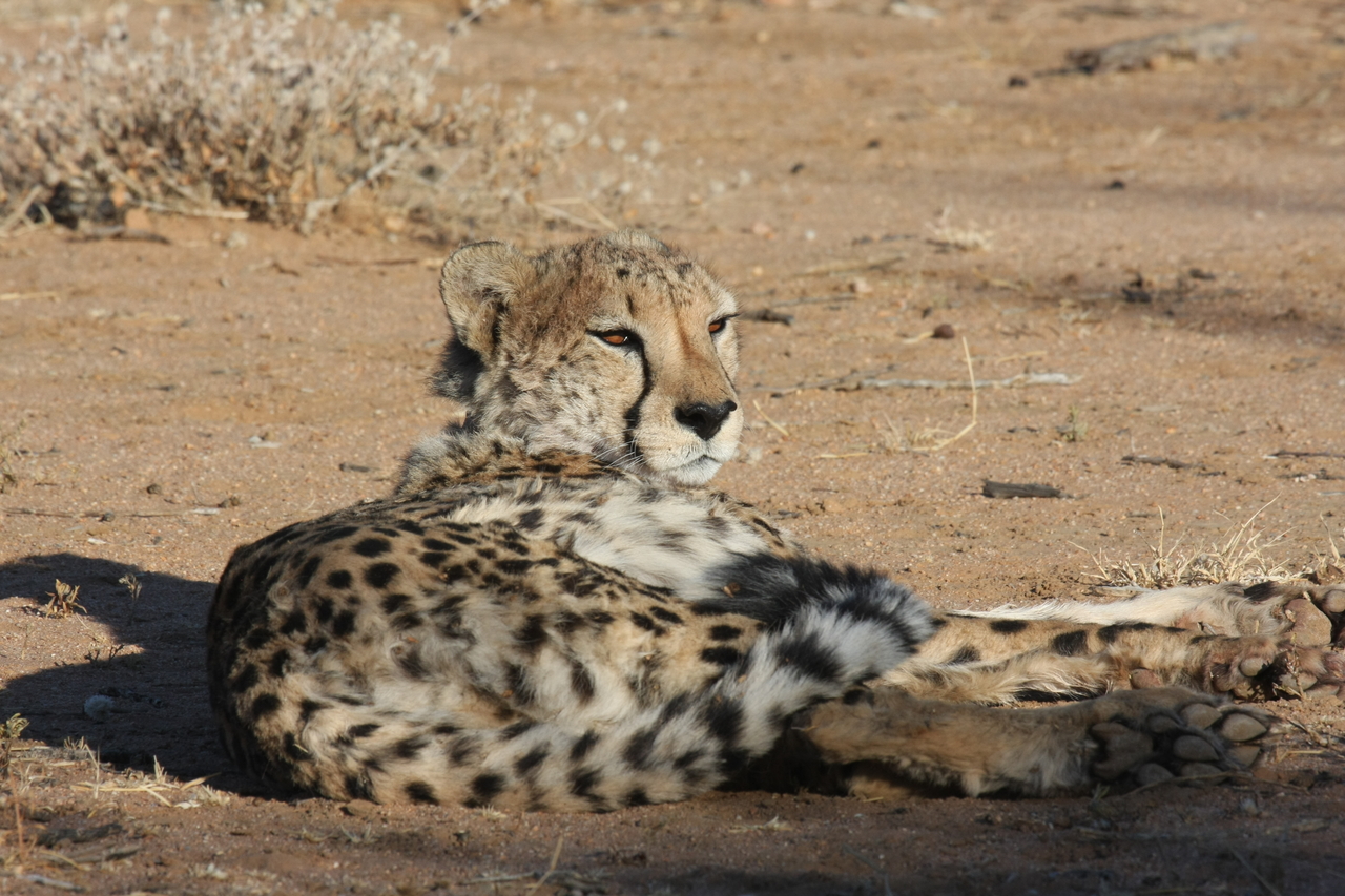 [814] 2016_06_22_02_46_09_Africa_Canon_EOS_40D_IMG__00111.jpg