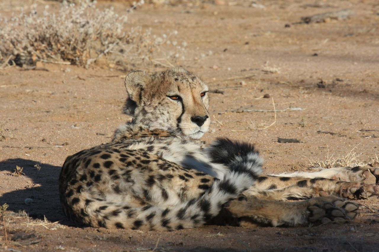 [817] 2016_06_22_02_46_09_Africa_Canon_EOS_40D_IMG__07559.jpg