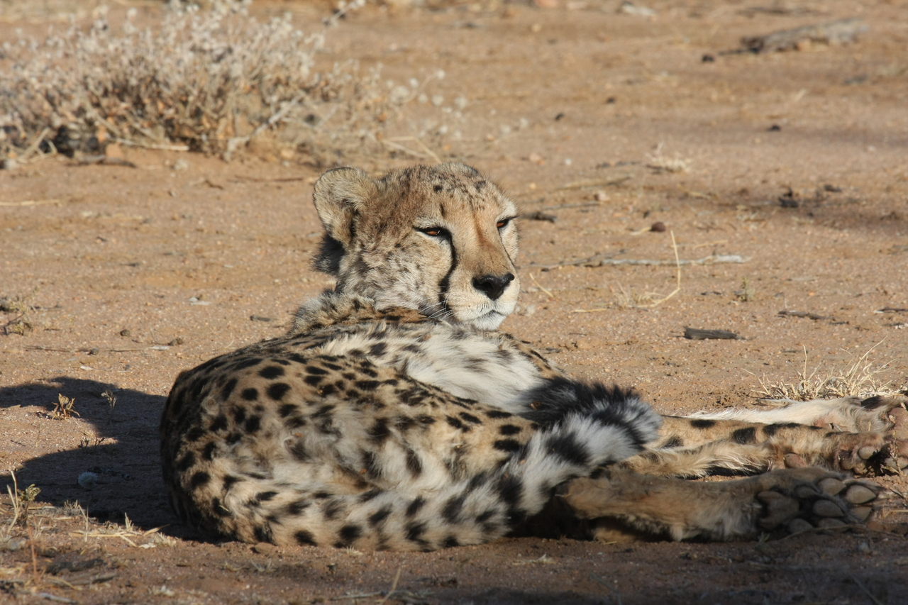 [820] 2016_06_22_02_46_10_Africa_Canon_EOS_40D_IMG__07560.jpg