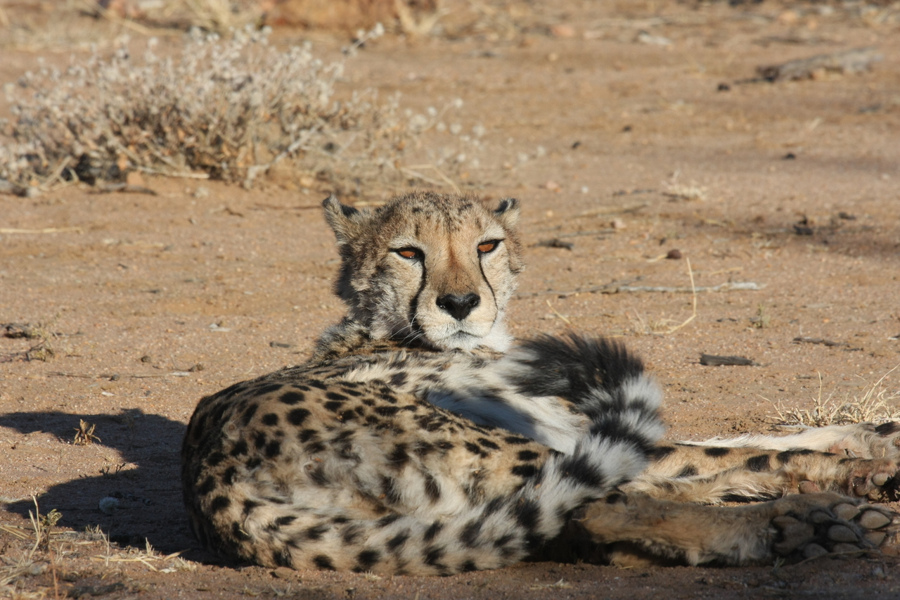 [822] 2016_06_22_02_46_12_Africa_Canon_EOS_40D_IMG__00096.jpg