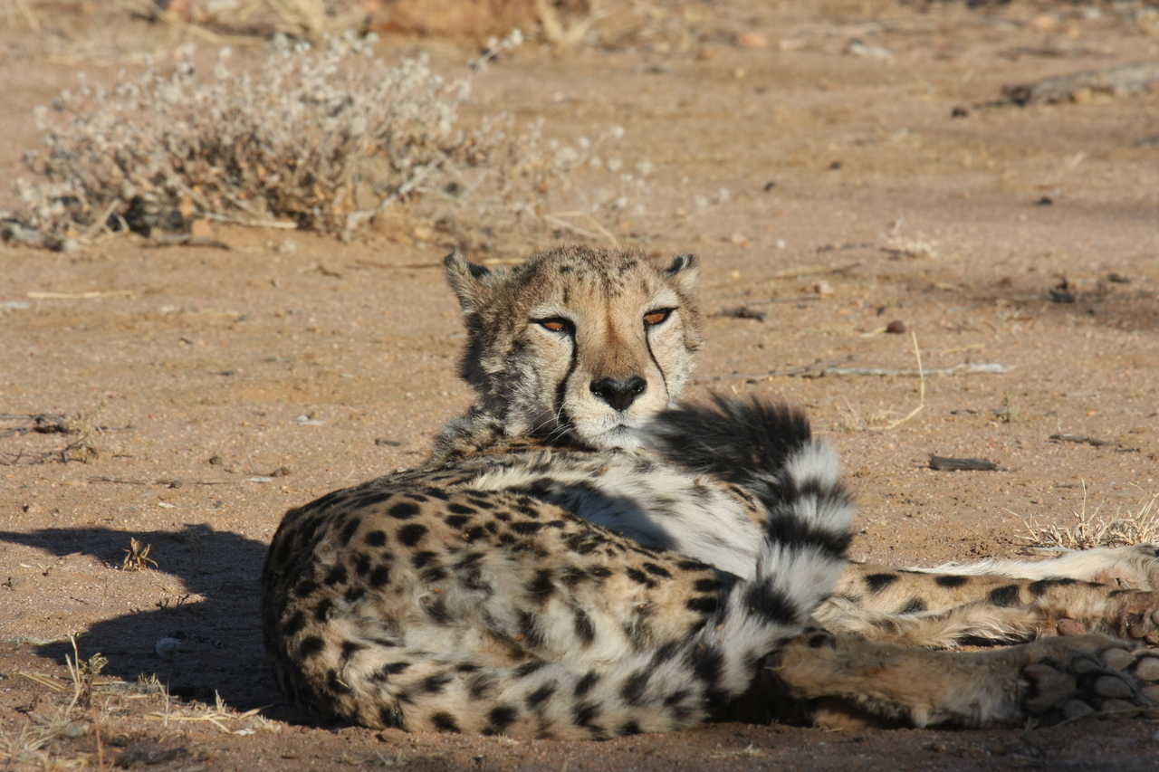 [823] 2016_06_22_02_46_12_Africa_Canon_EOS_40D_IMG__00114.jpg