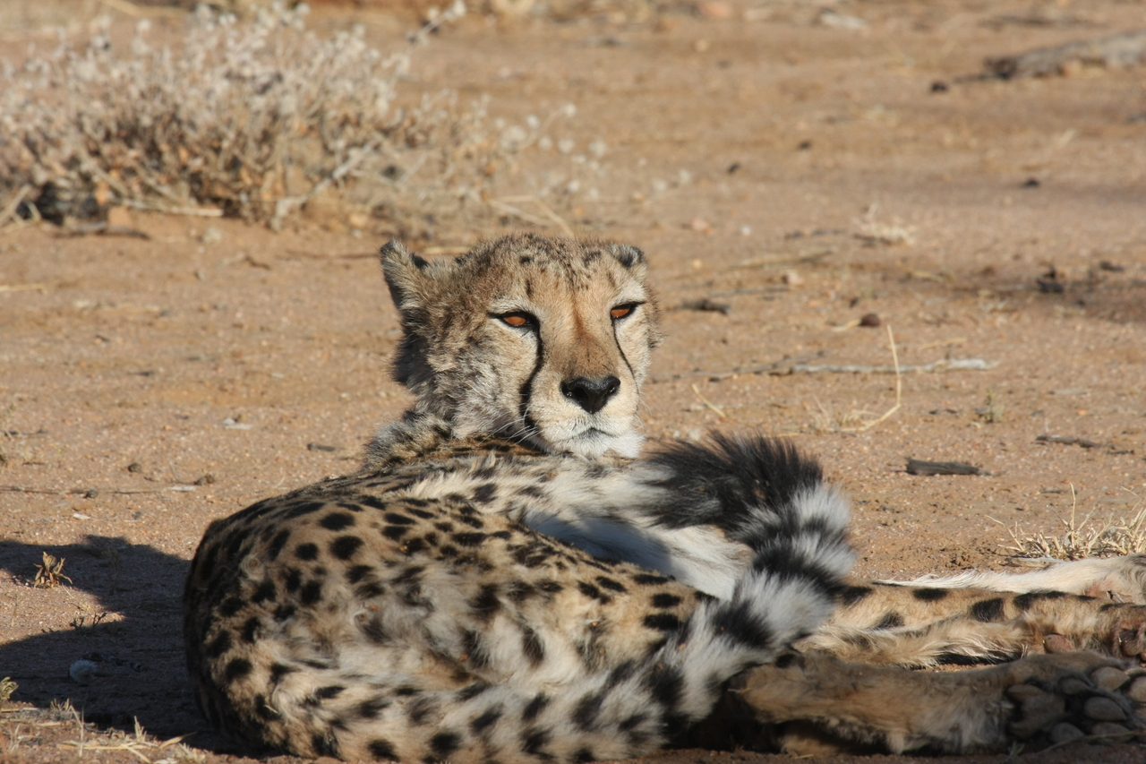 [828] 2016_06_22_02_46_14_Africa_Canon_EOS_40D_IMG__00098.jpg