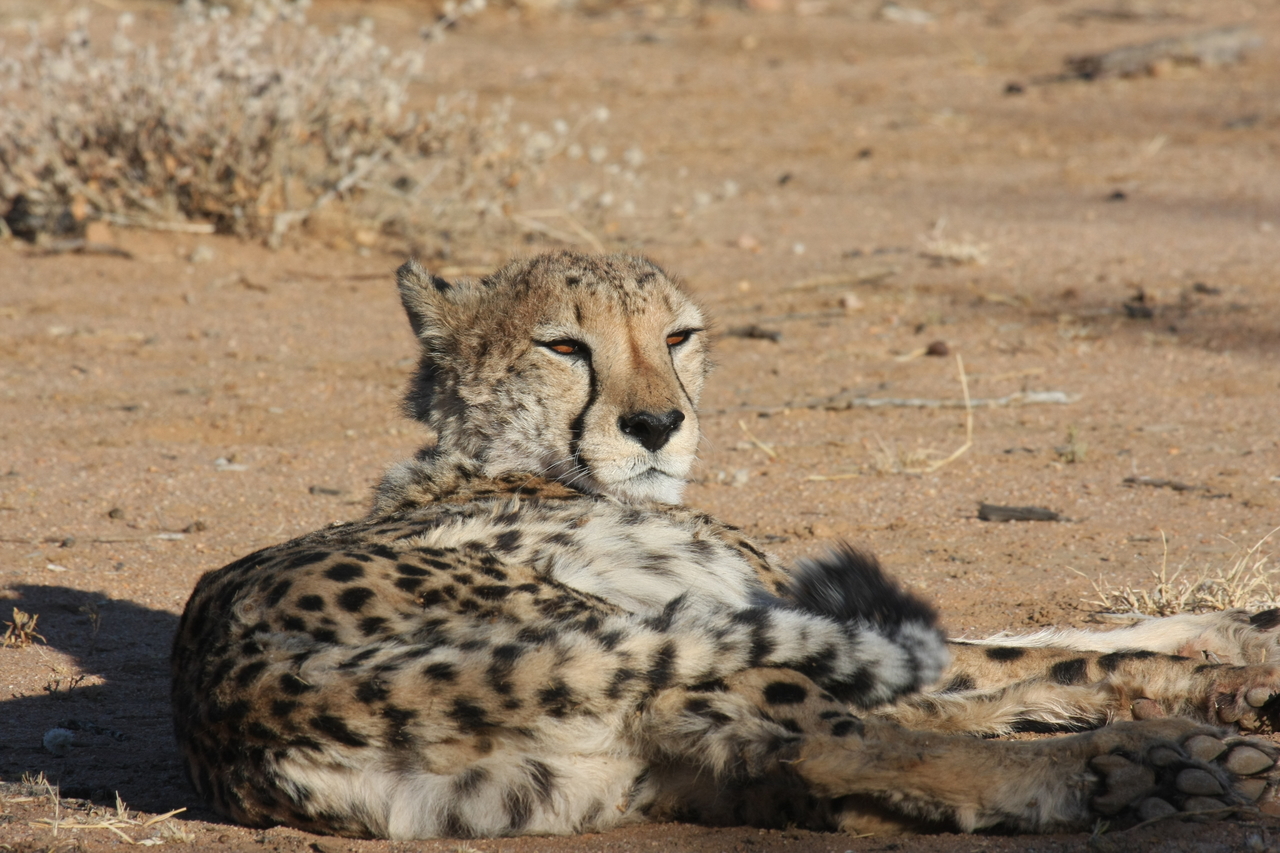 [838] 2016_06_22_02_46_16_Africa_Canon_EOS_40D_IMG__07566.jpg