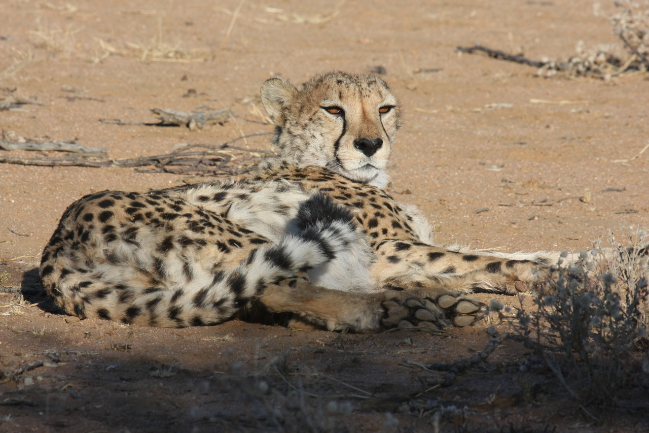 [843] 2016_06_22_02_46_46_Africa_Canon_EOS_40D_IMG__00121.jpg