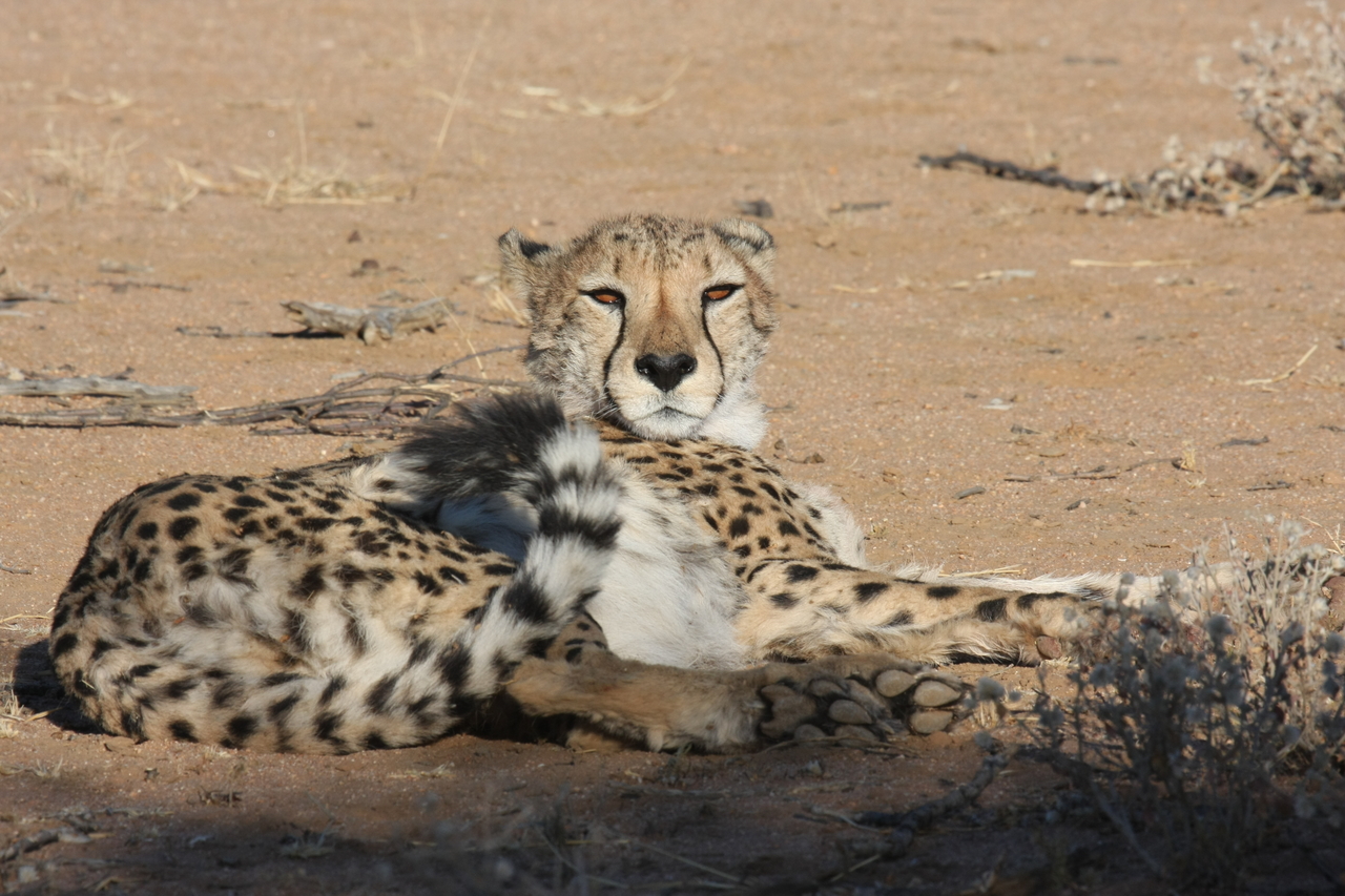 [849] 2016_06_22_02_46_53_Africa_Canon_EOS_40D_IMG__00123.jpg