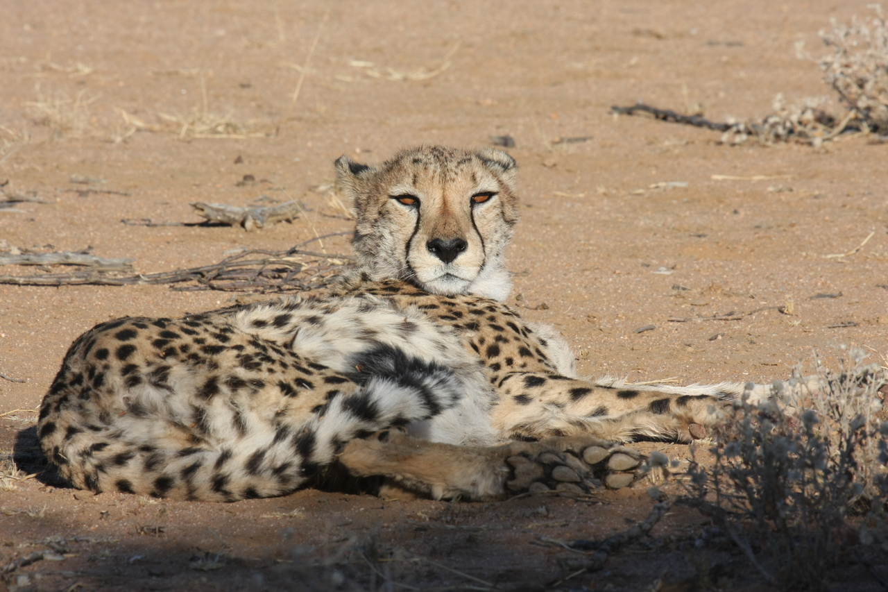 [853] 2016_06_22_02_46_54_Africa_Canon_EOS_40D_IMG__07571.jpg