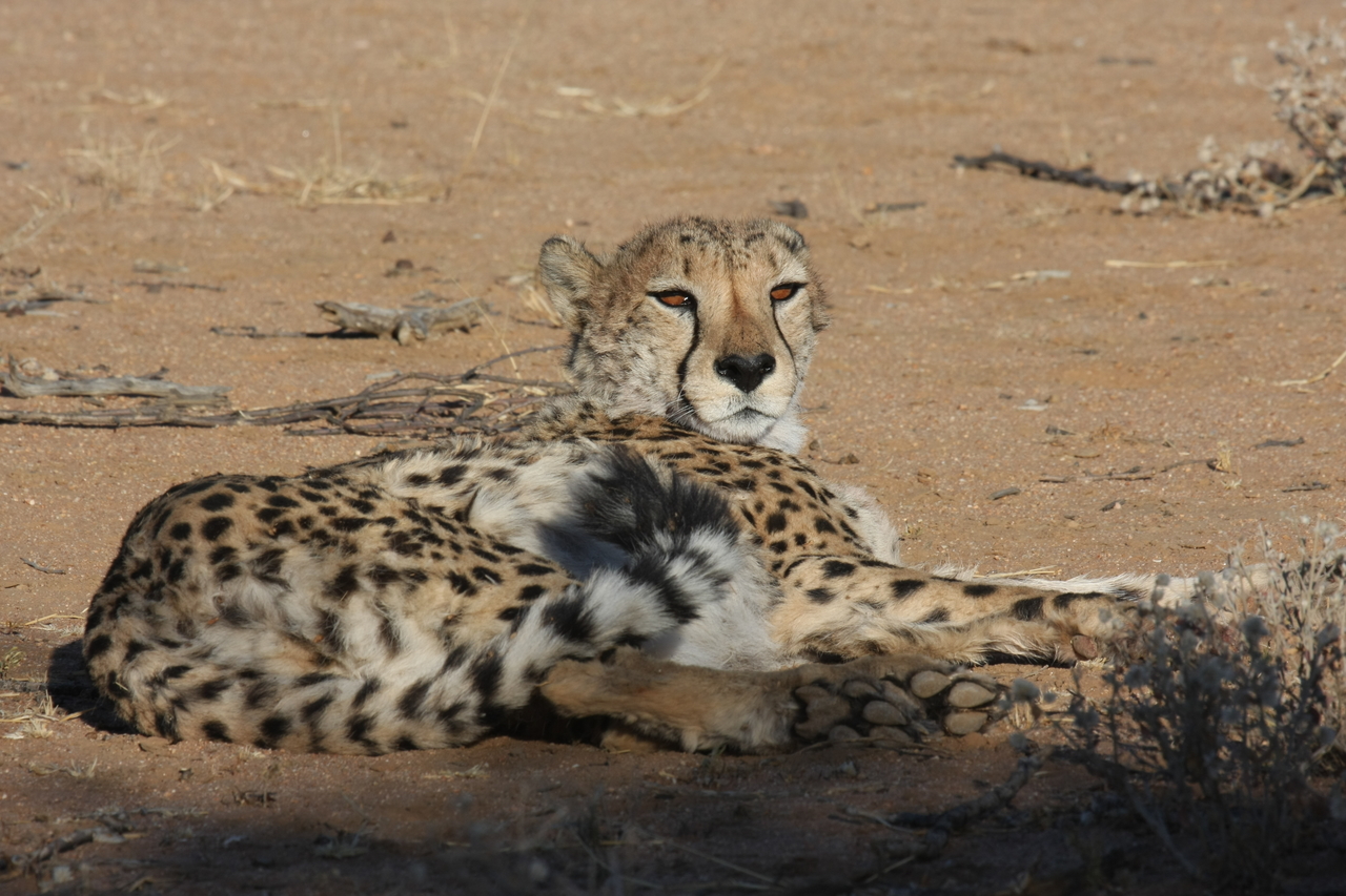 [854] 2016_06_22_02_47_02_Africa_Canon_EOS_40D_IMG__00106.jpg