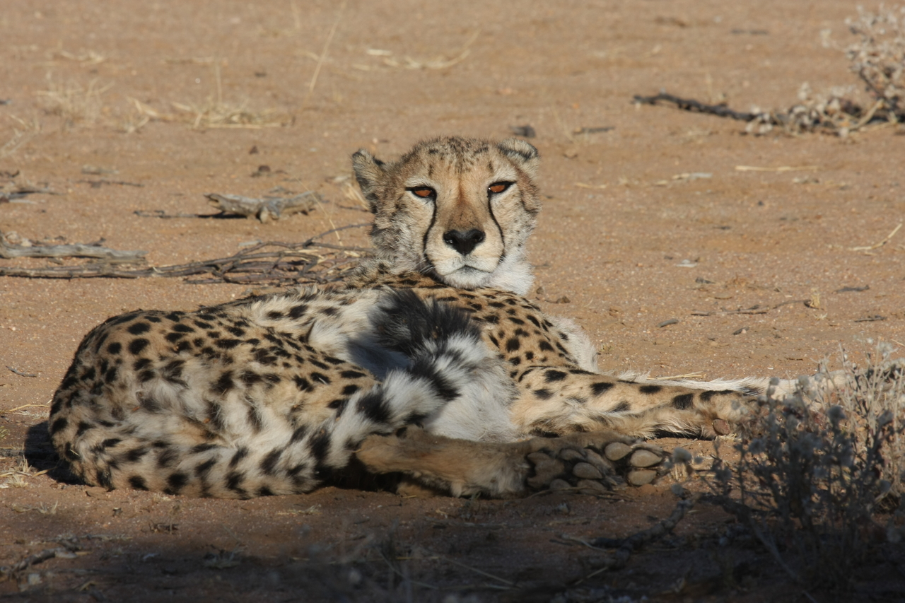 [859] 2016_06_22_02_47_02_Africa_Canon_EOS_40D_IMG__00127.jpg