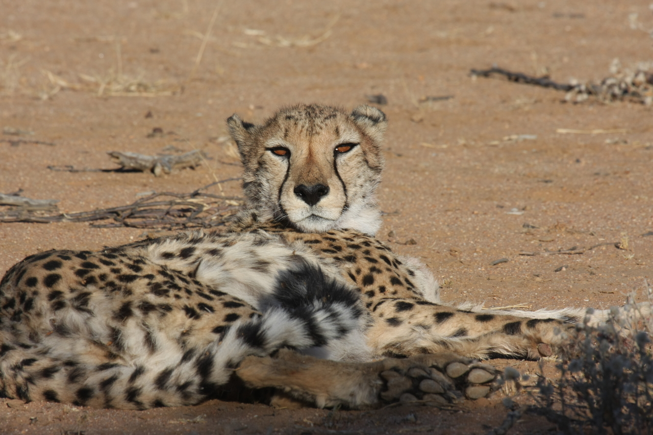 [869] 2016_06_22_02_47_07_Africa_Canon_EOS_40D_IMG__00111.jpg