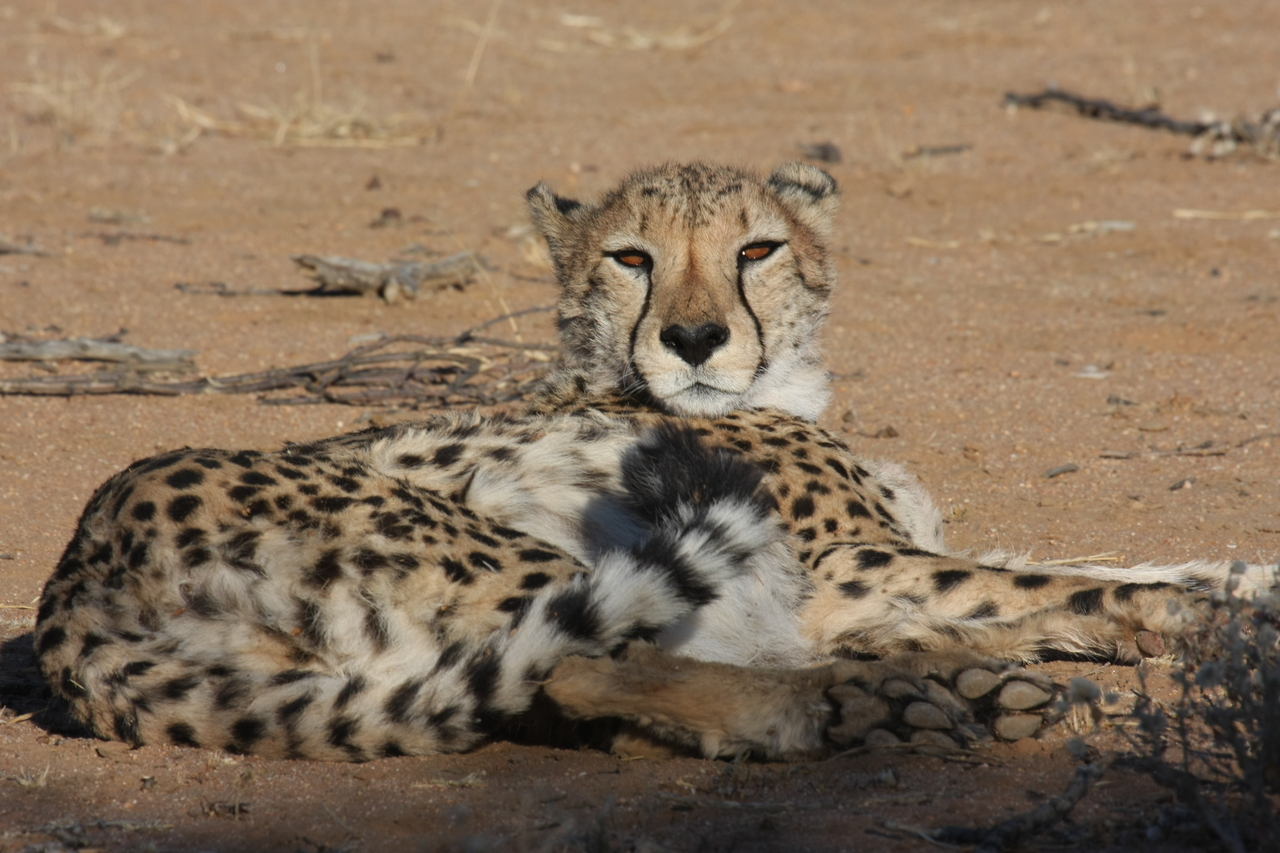 [885] 2016_06_22_02_47_11_Africa_Canon_EOS_40D_IMG__07581.jpg