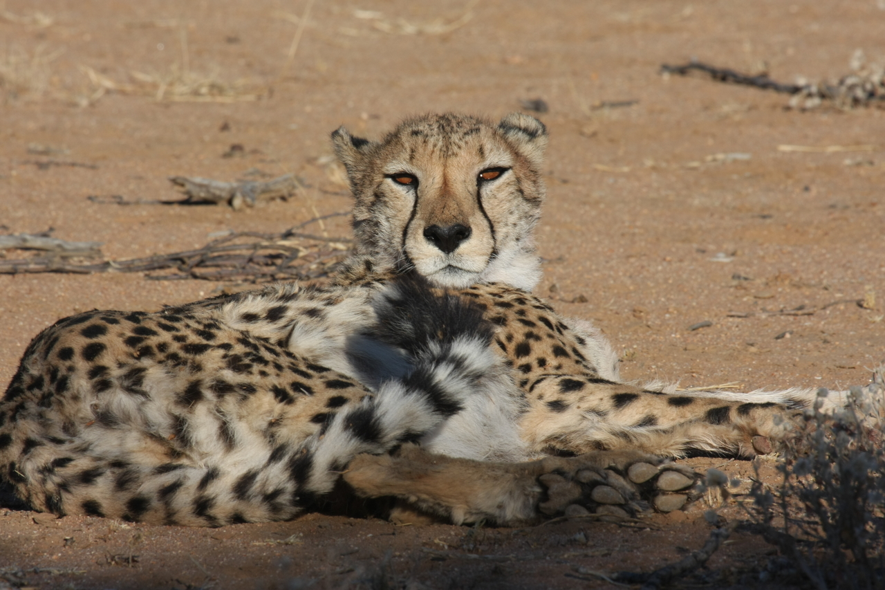 [886] 2016_06_22_02_47_11_Africa_Canon_EOS_40D_IMG__07582.jpg