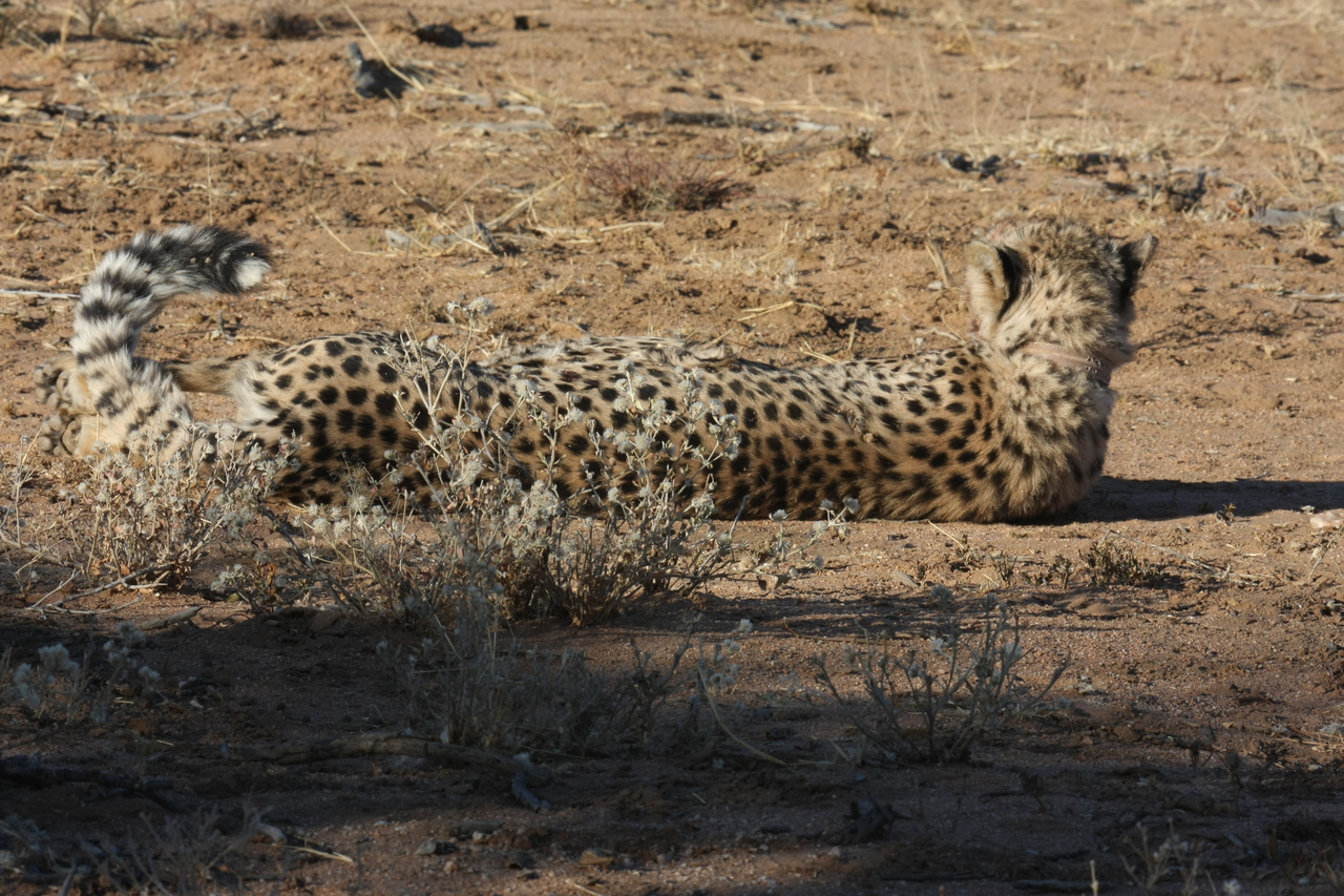 [892] 2016_06_22_02_48_01_Africa_Canon_EOS_40D_IMG__07584.jpg