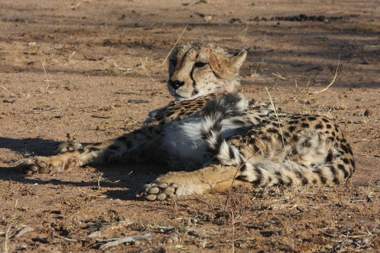 [944] 2016_06_22_02_49_18_Africa_Canon_EOS_40D_IMG__00151.jpg