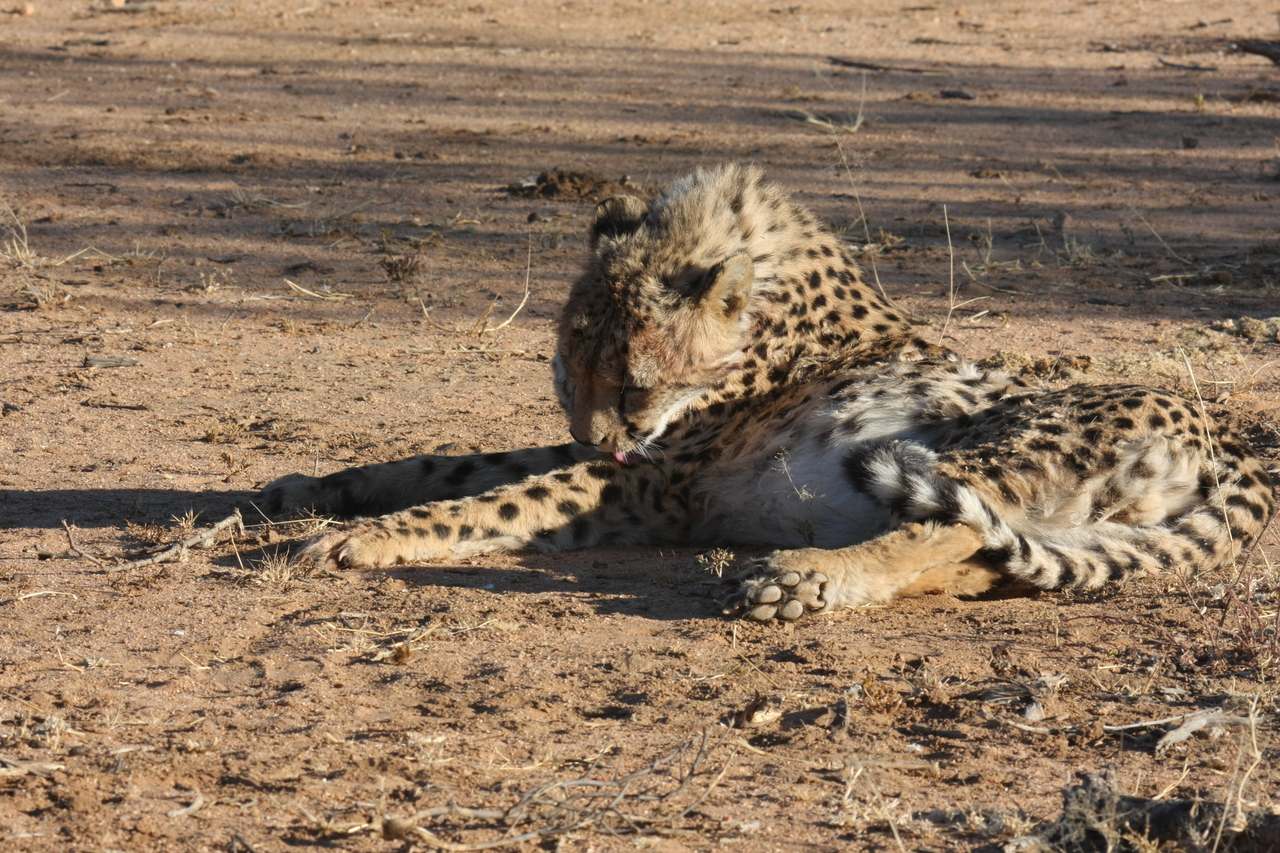 [952] 2016_06_22_02_49_40_Africa_Canon_EOS_40D_IMG__07600.jpg