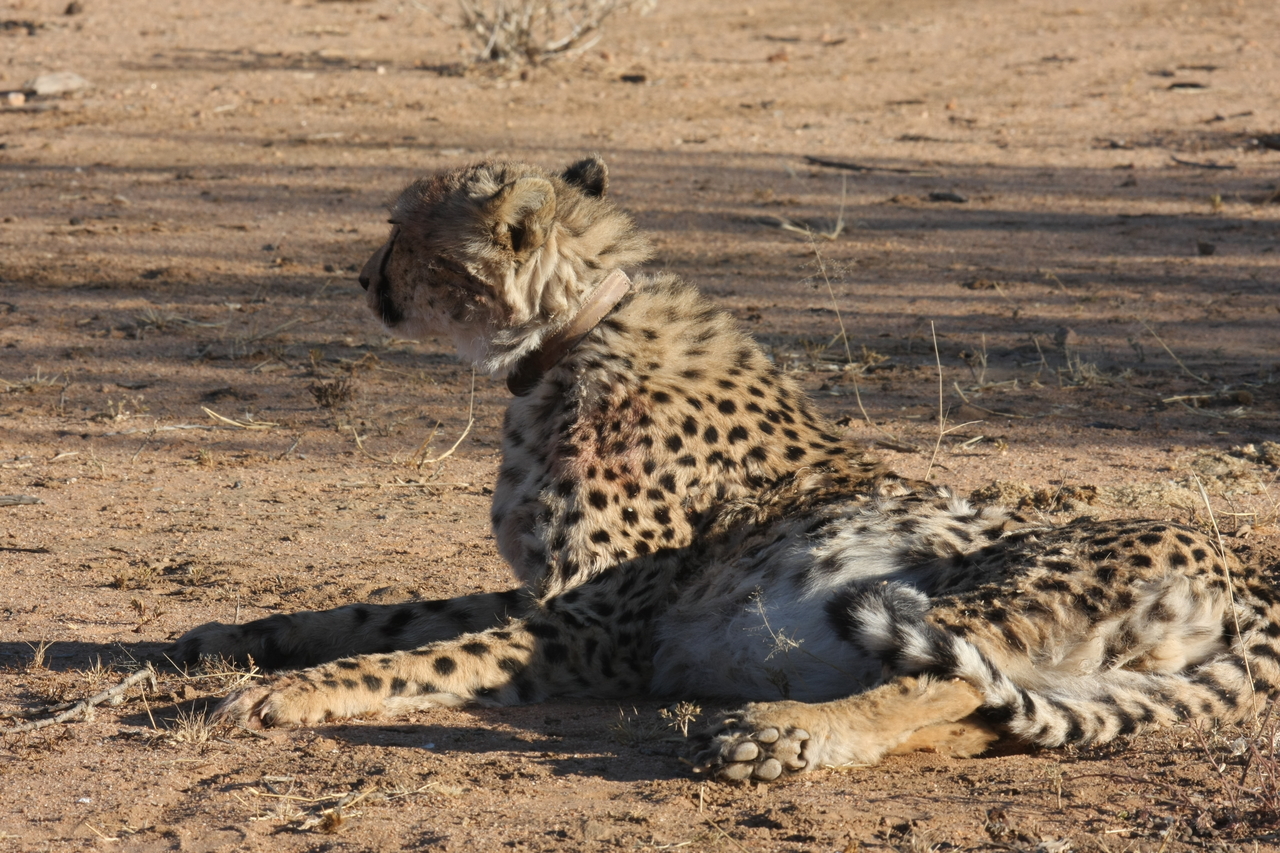 [954] 2016_06_22_02_49_55_Africa_Canon_EOS_40D_IMG__00136.jpg