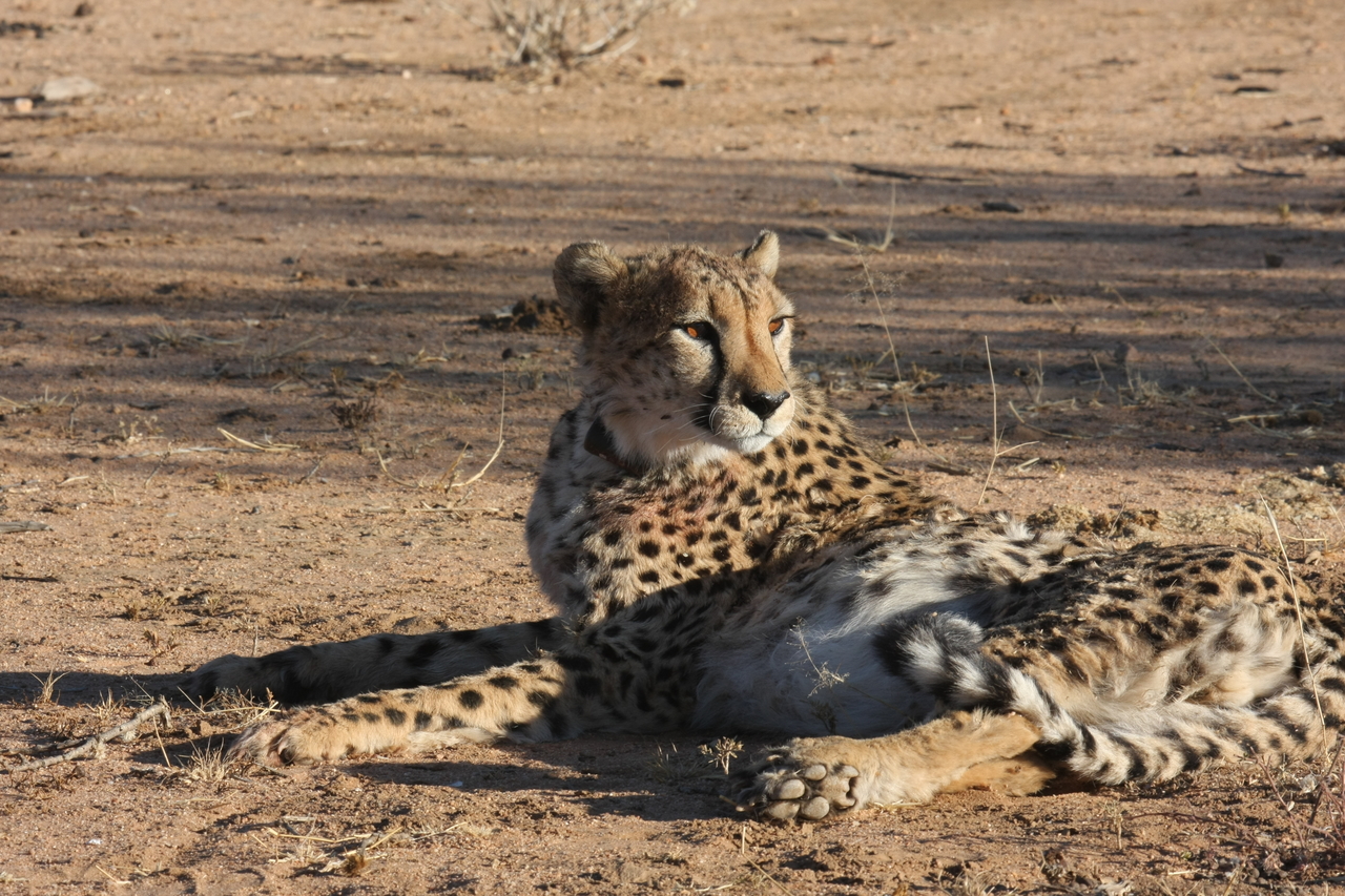 [963] 2016_06_22_02_49_57_Africa_Canon_EOS_40D_IMG__00139.jpg