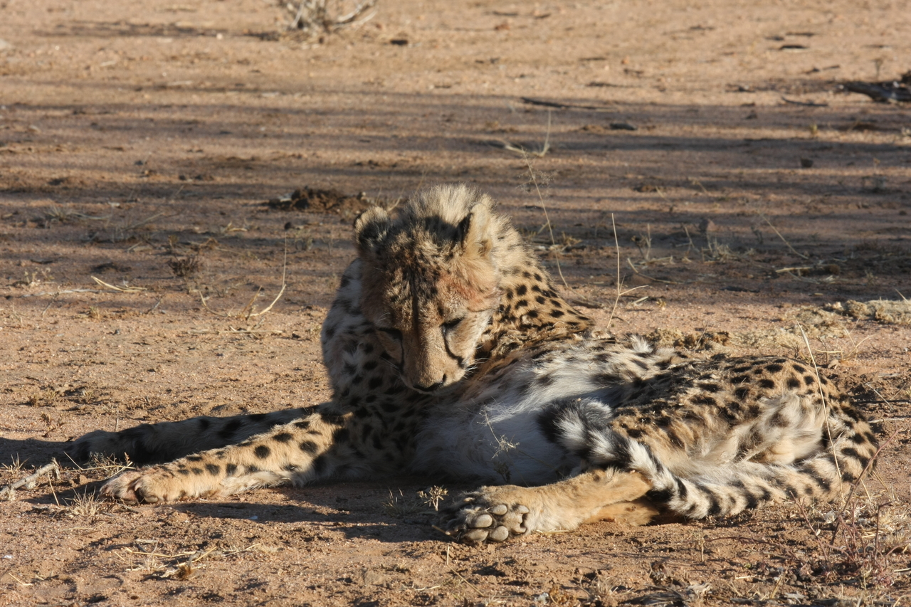 [971] 2016_06_22_02_50_00_Africa_Canon_EOS_40D_IMG__00141.jpg