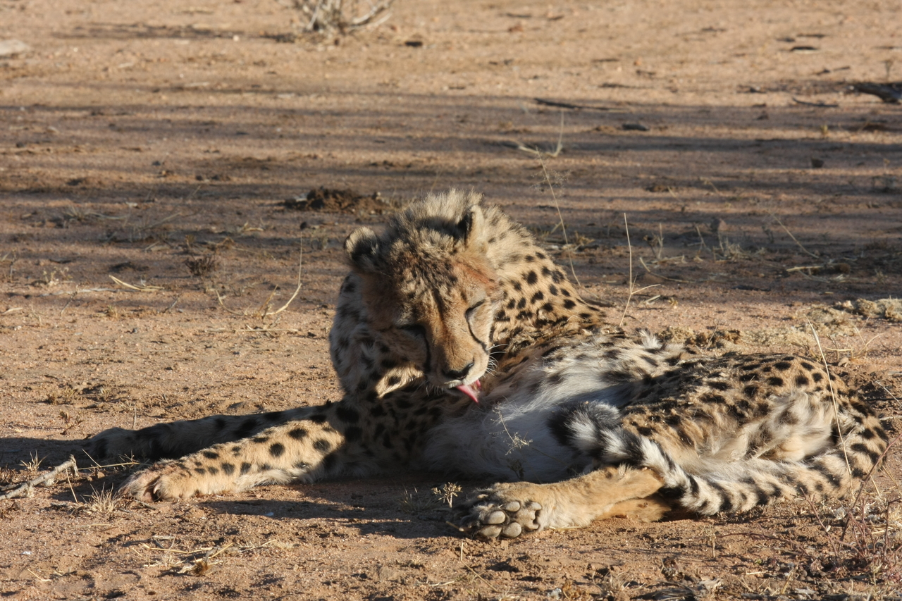 [978] 2016_06_22_02_50_02_Africa_Canon_EOS_40D_IMG__07608.jpg