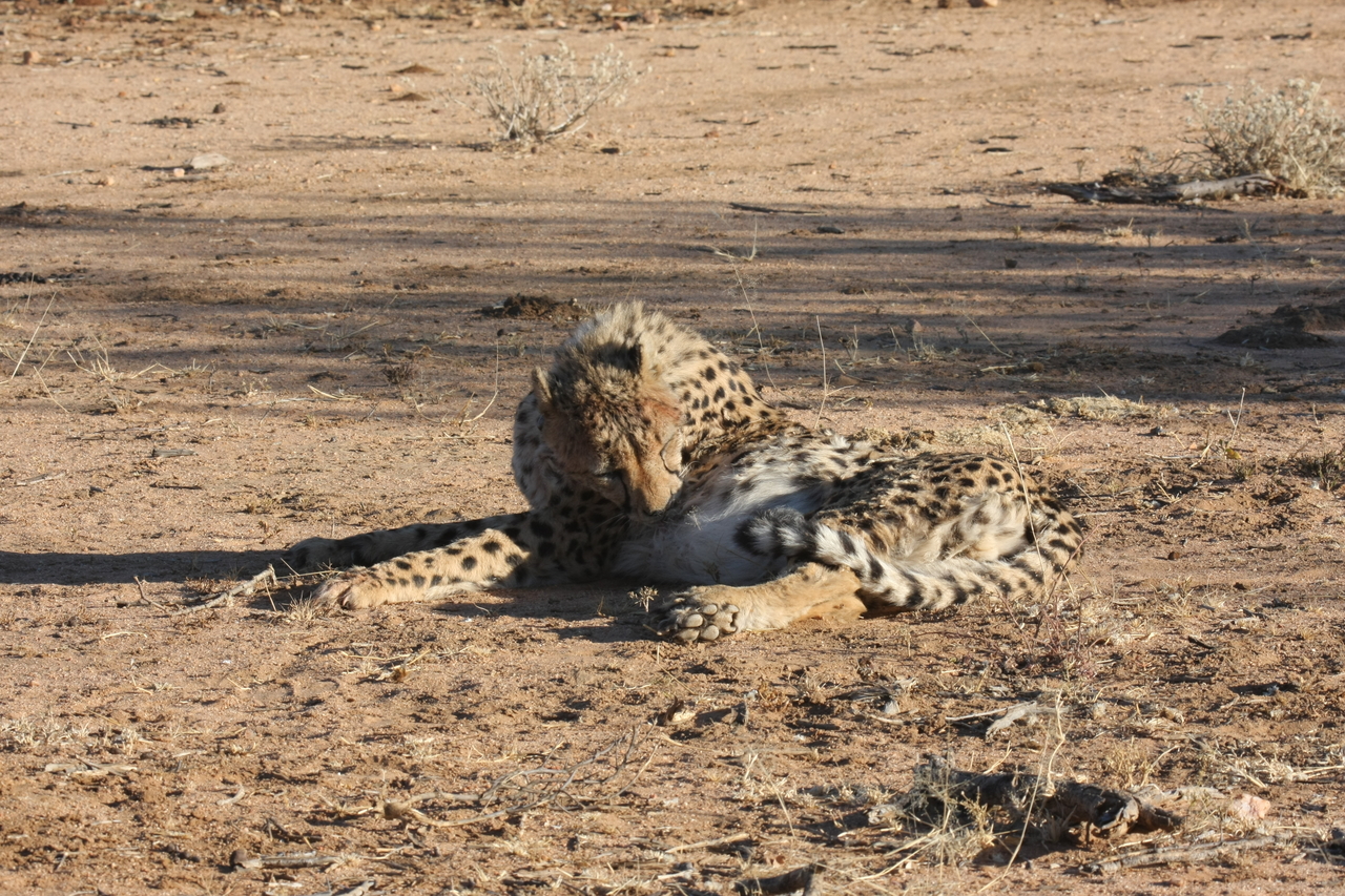 [992] 2016_06_22_02_50_30_Africa_Canon_EOS_40D_IMG__00148.jpg