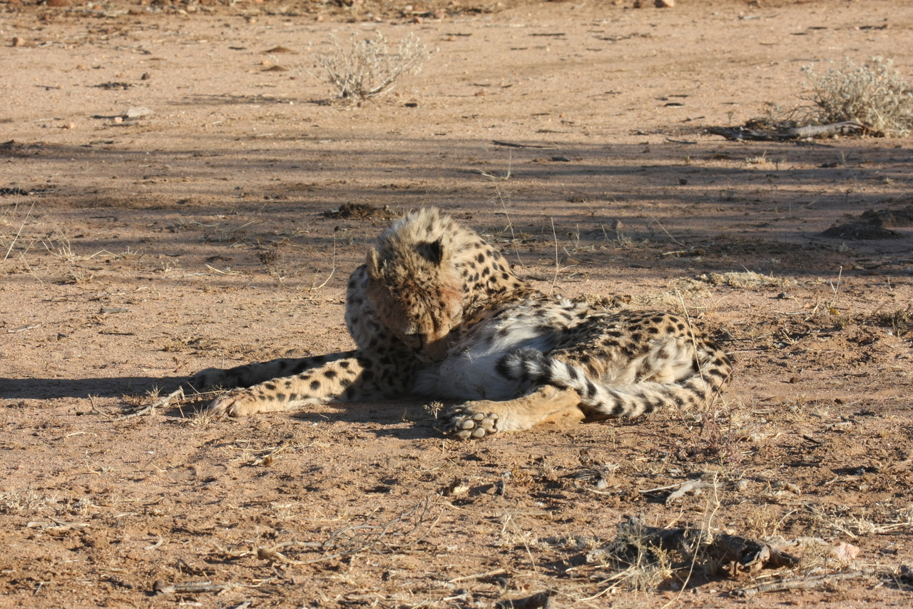 [995] 2016_06_22_02_50_30_Africa_Canon_EOS_40D_IMG__00168.jpg