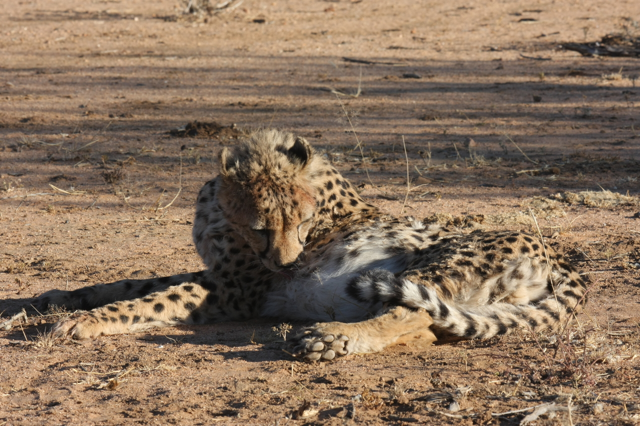 [999] 2016_06_22_02_50_34_Africa_Canon_EOS_40D_IMG__00169.jpg