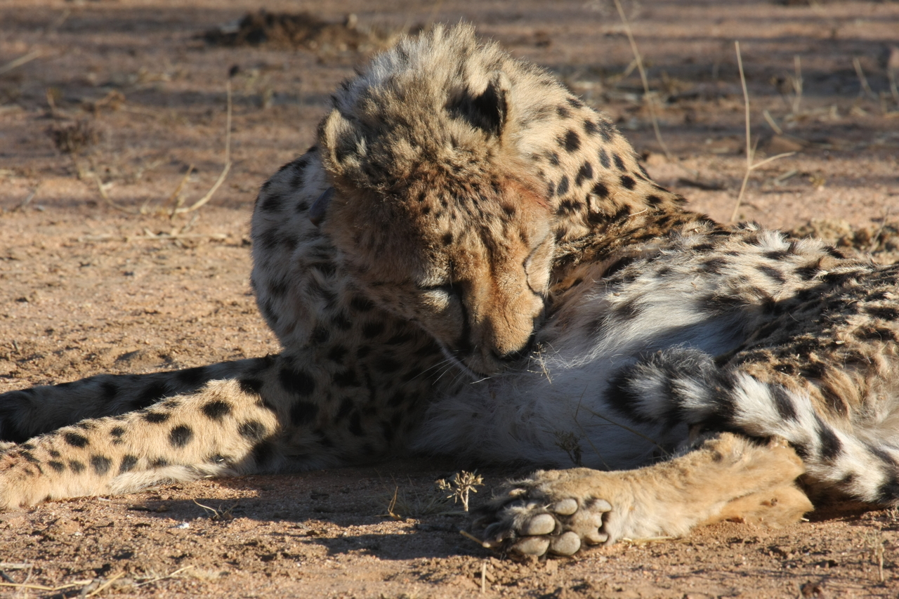 [1004] 2016_06_22_02_50_42_Africa_Canon_EOS_40D_IMG__00152.jpg