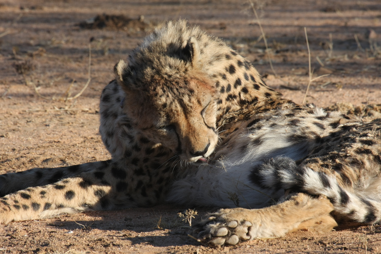 [1005] 2016_06_22_02_50_42_Africa_Canon_EOS_40D_IMG__00153.jpg