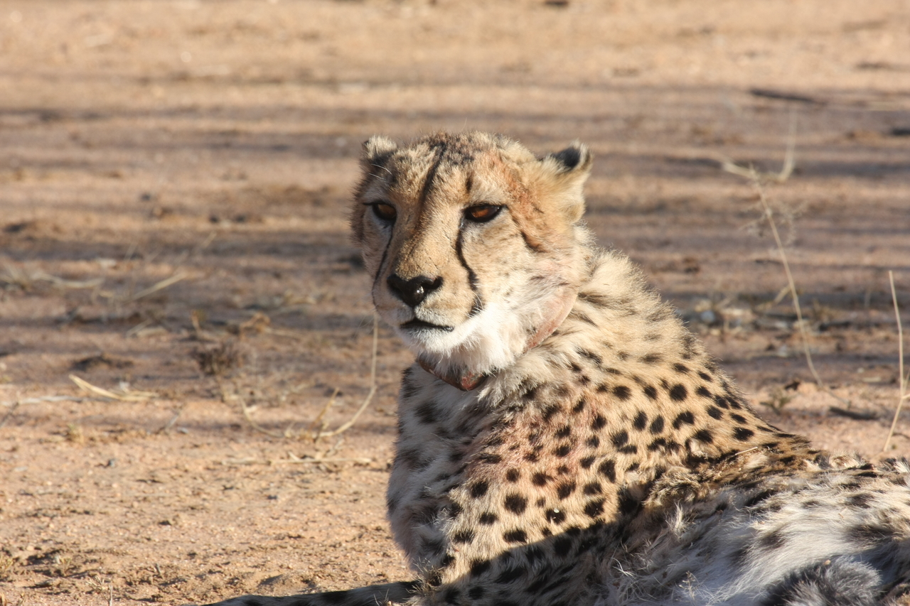 [1029] 2016_06_22_02_51_03_Africa_Canon_EOS_40D_IMG__07625.jpg