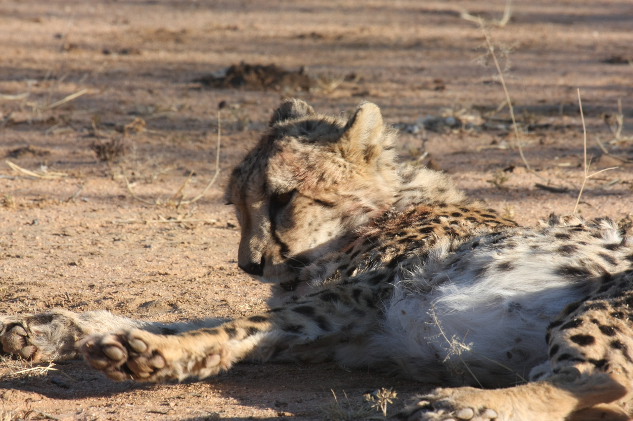 [1040] 2016_06_22_02_51_41_Africa_Canon_EOS_40D_IMG__00164.jpg