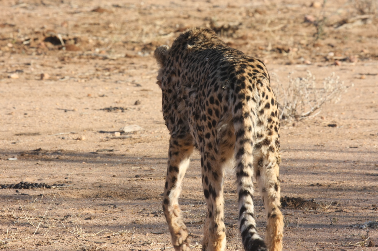 [1044] 2016_06_22_02_51_50_Africa_Canon_EOS_40D_IMG__00184.jpg