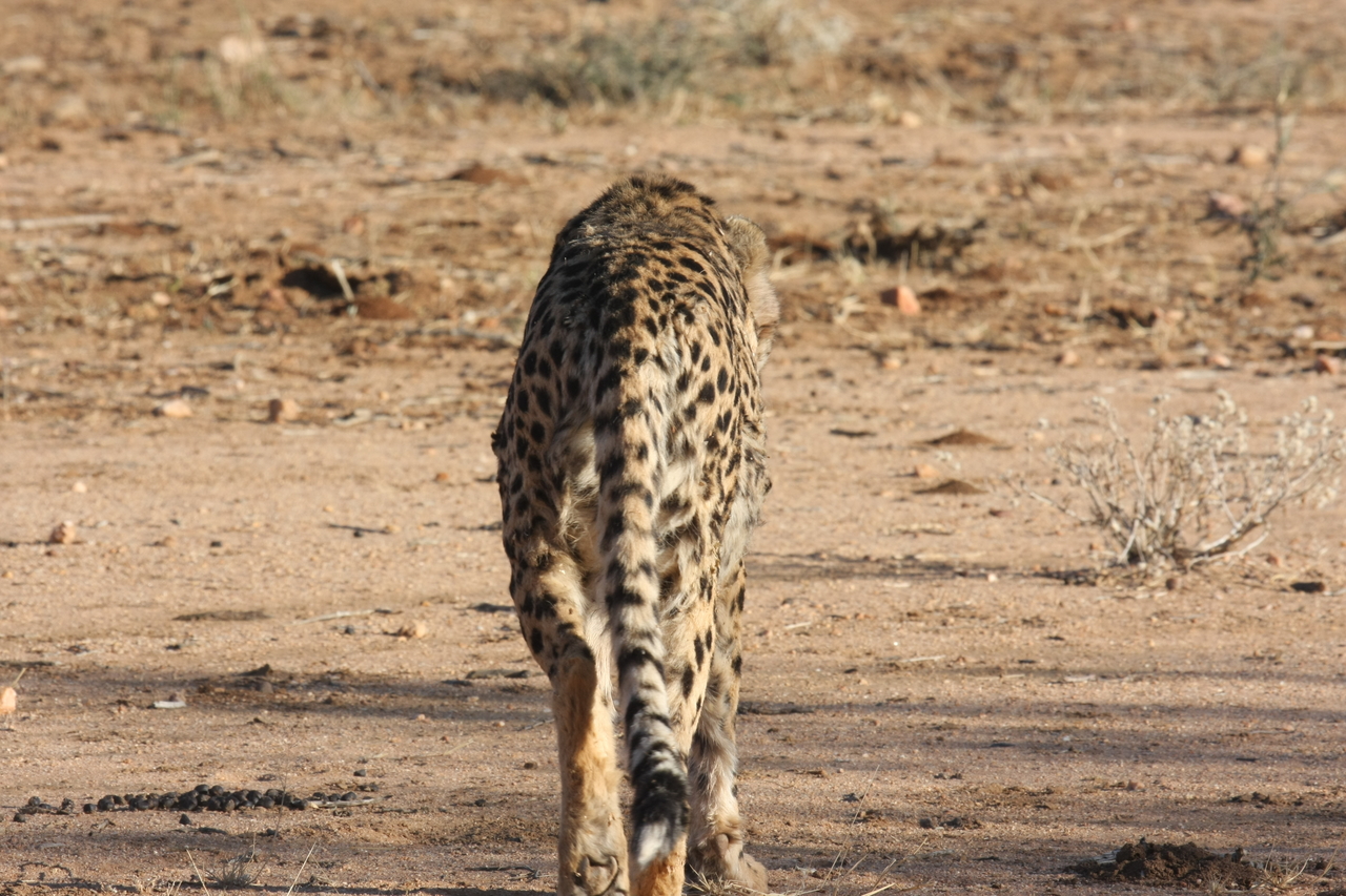 [1049] 2016_06_22_02_51_52_Africa_Canon_EOS_40D_IMG__00186.jpg